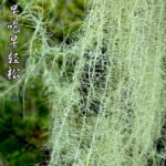 上一个商品图像