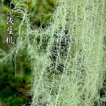 下一个商品图像