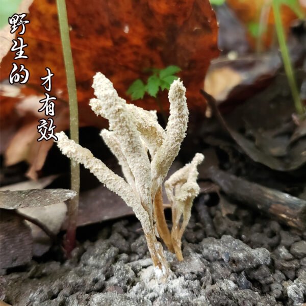 商品图像