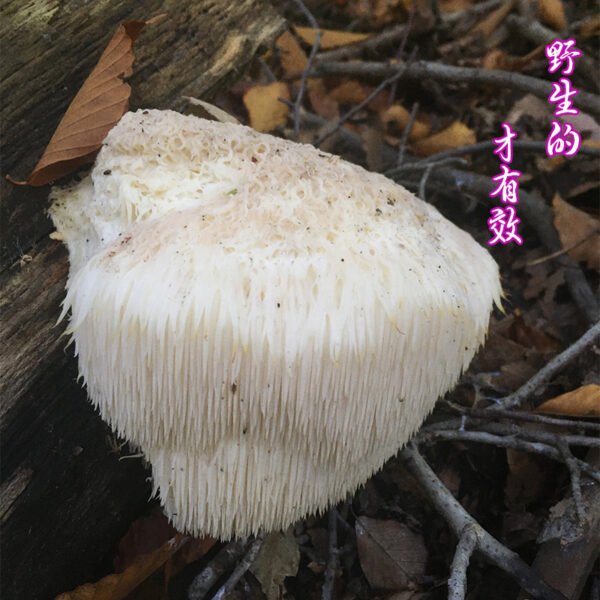 商品图像