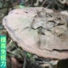 商品图像