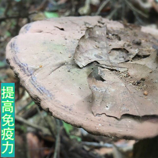 商品图像