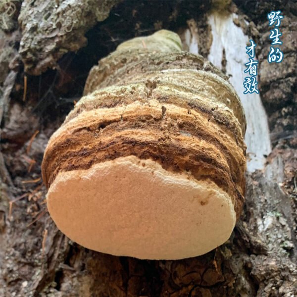 商品图像