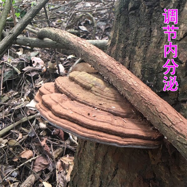 商品图像