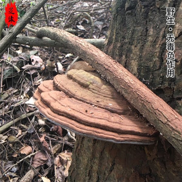 商品图像
