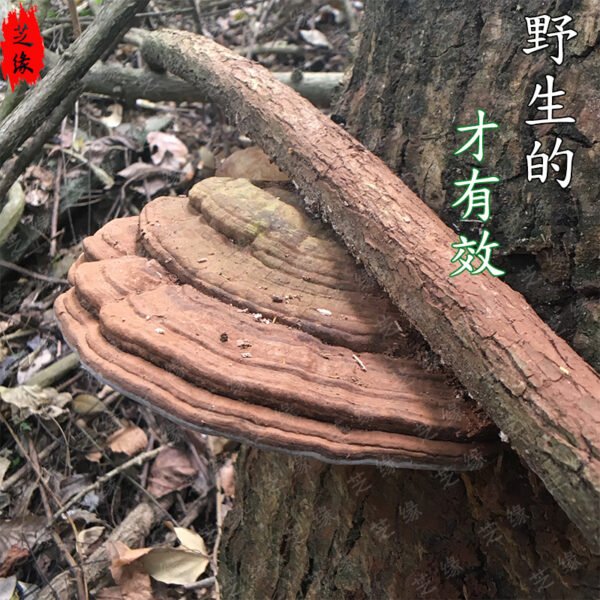 商品图像