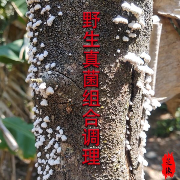 商品图像