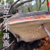 商品图像