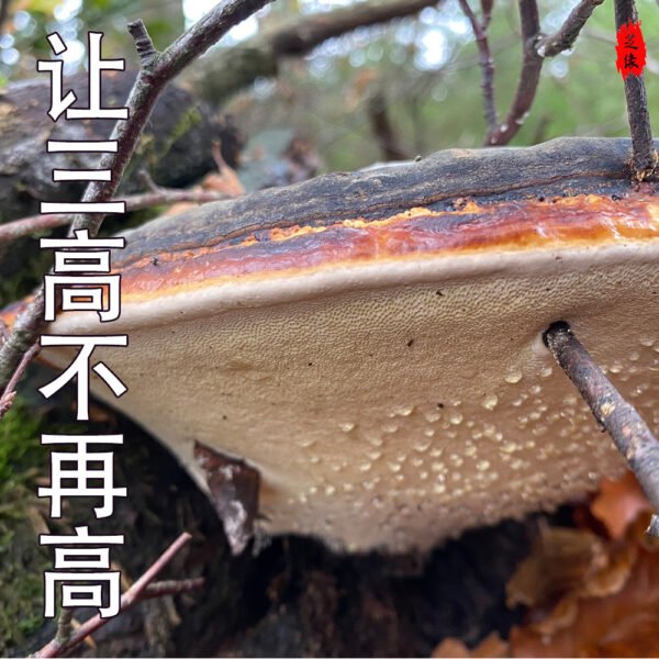商品图像