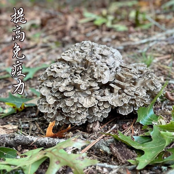 商品图像