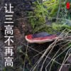 商品图像