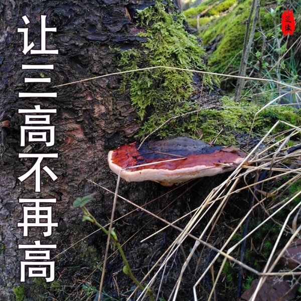 商品图像