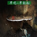 上一个商品图像