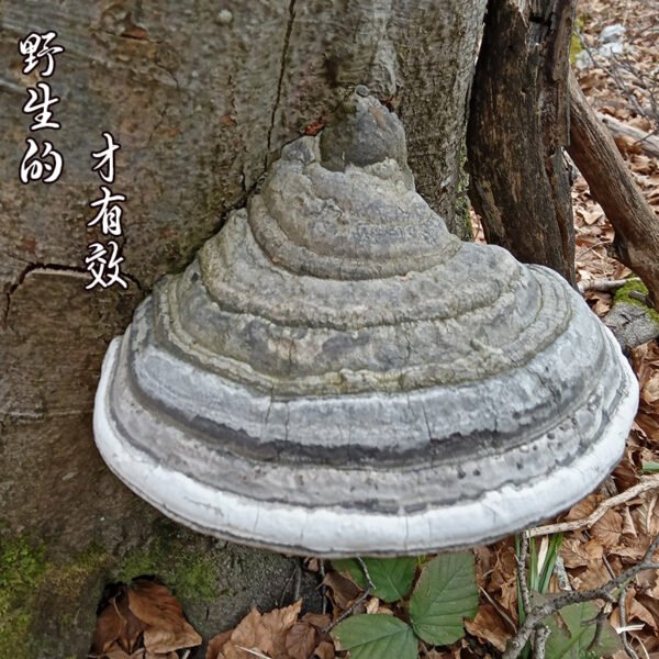 商品图像