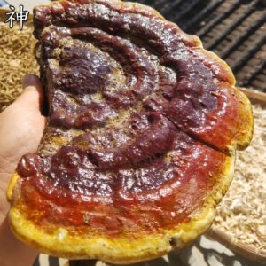 商品图像