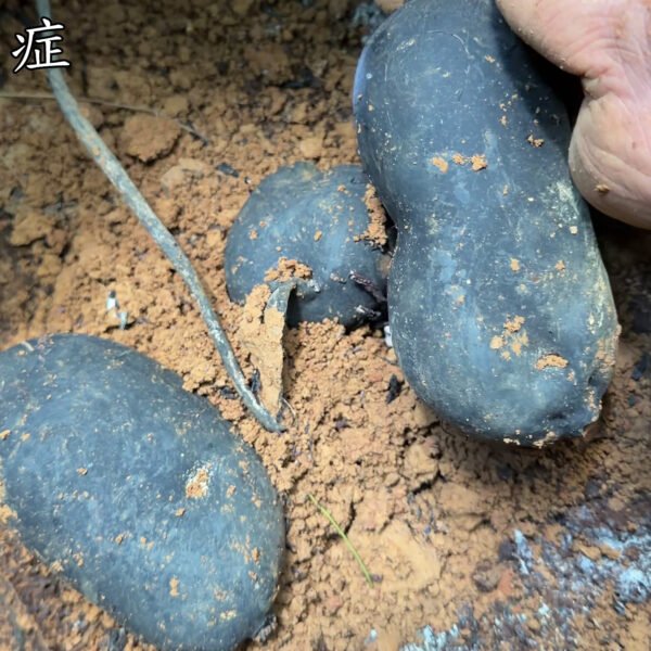 商品图像