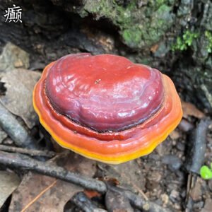 商品图像